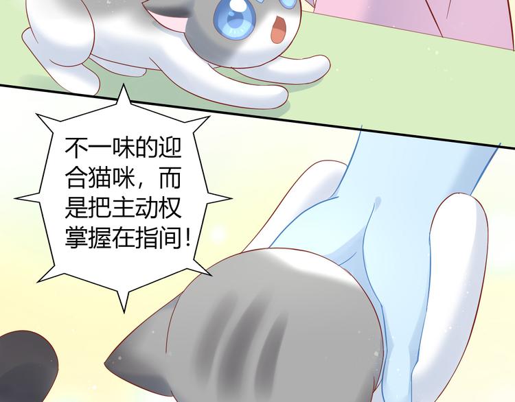 猫爪之下韩漫全集-第134话  撸猫技师（二）无删减无遮挡章节图片 