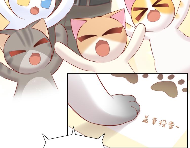 猫爪之下韩漫全集-第134话  撸猫技师（二）无删减无遮挡章节图片 