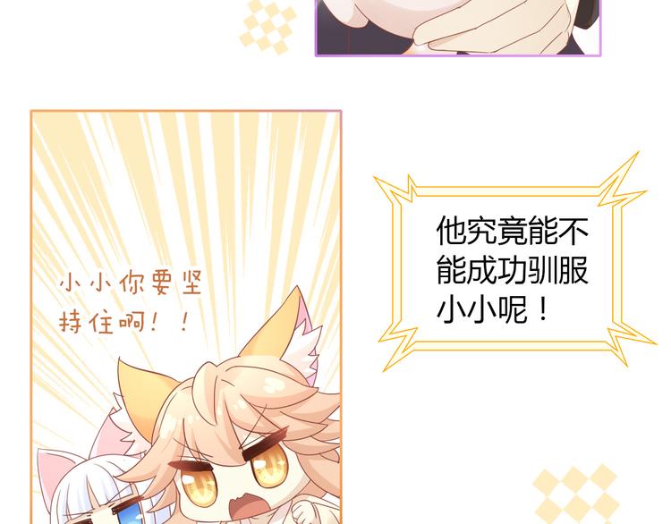 猫爪之下韩漫全集-第135话 撸猫技师（三）无删减无遮挡章节图片 