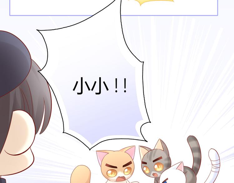 猫爪之下韩漫全集-第135话 撸猫技师（三）无删减无遮挡章节图片 