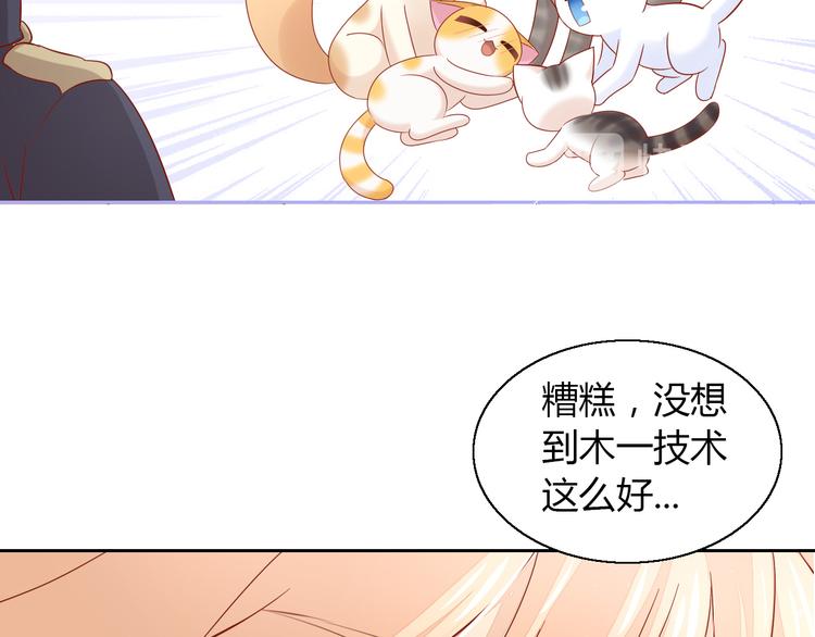猫爪之下韩漫全集-第135话 撸猫技师（三）无删减无遮挡章节图片 