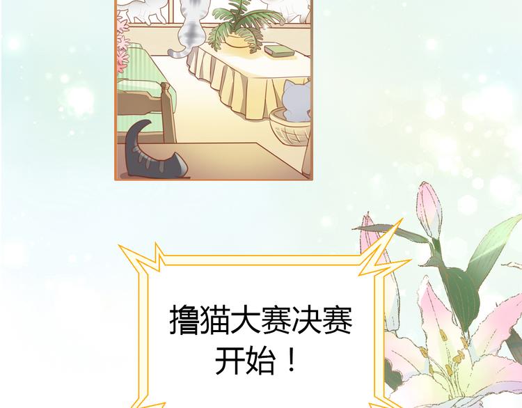猫爪之下韩漫全集-第135话 撸猫技师（三）无删减无遮挡章节图片 