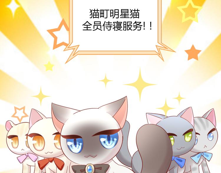 猫爪之下韩漫全集-第135话 撸猫技师（三）无删减无遮挡章节图片 