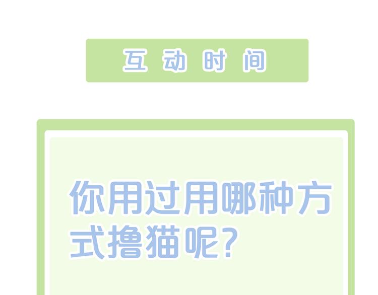 猫爪之下韩漫全集-第135话 撸猫技师（三）无删减无遮挡章节图片 