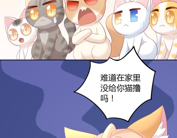 猫爪之下韩漫全集-第136话 撸猫技师（四）无删减无遮挡章节图片 