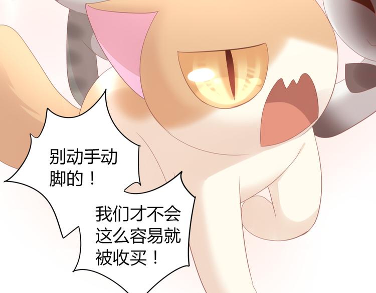 猫爪之下韩漫全集-第136话 撸猫技师（四）无删减无遮挡章节图片 