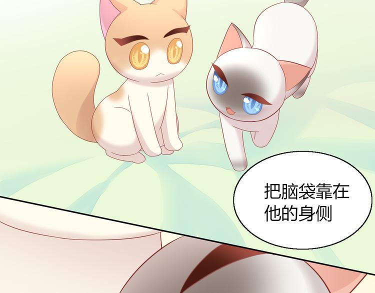 猫爪之下韩漫全集-第136话 撸猫技师（四）无删减无遮挡章节图片 