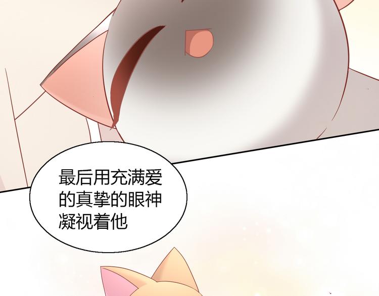 猫爪之下韩漫全集-第136话 撸猫技师（四）无删减无遮挡章节图片 