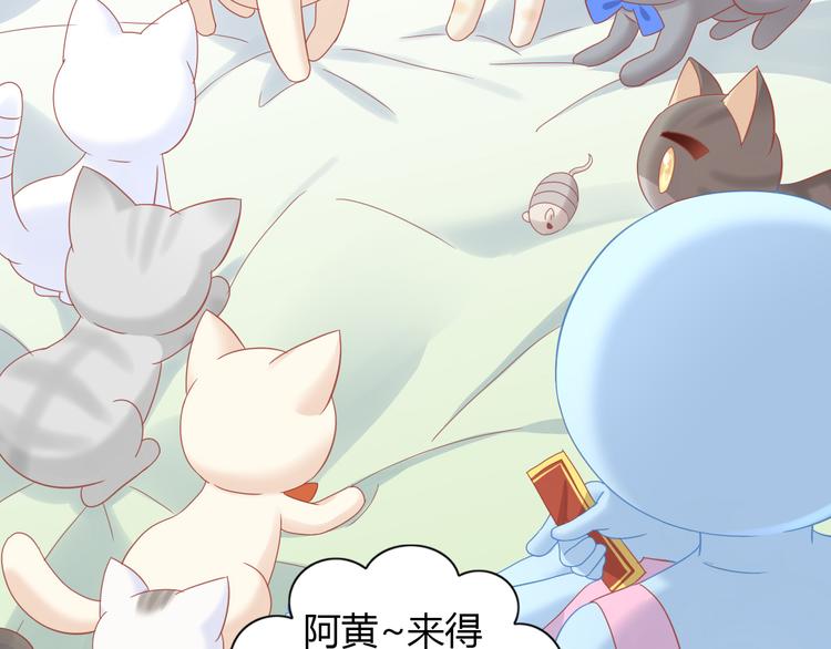 猫爪之下韩漫全集-第136话 撸猫技师（四）无删减无遮挡章节图片 