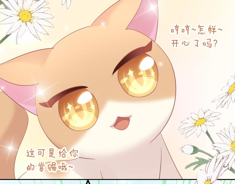 猫爪之下韩漫全集-第136话 撸猫技师（四）无删减无遮挡章节图片 