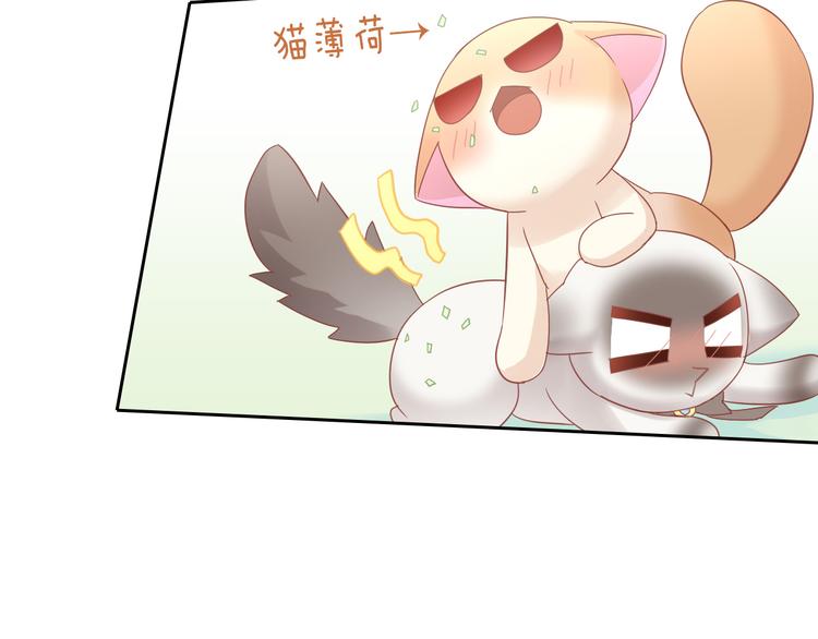 猫爪之下韩漫全集-第136话 撸猫技师（四）无删减无遮挡章节图片 
