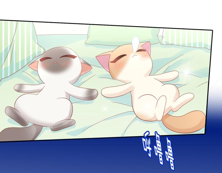 猫爪之下韩漫全集-第136话 撸猫技师（四）无删减无遮挡章节图片 