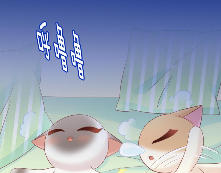 猫爪之下韩漫全集-第136话 撸猫技师（四）无删减无遮挡章节图片 