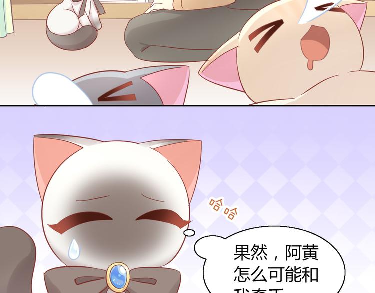 猫爪之下韩漫全集-第136话 撸猫技师（四）无删减无遮挡章节图片 