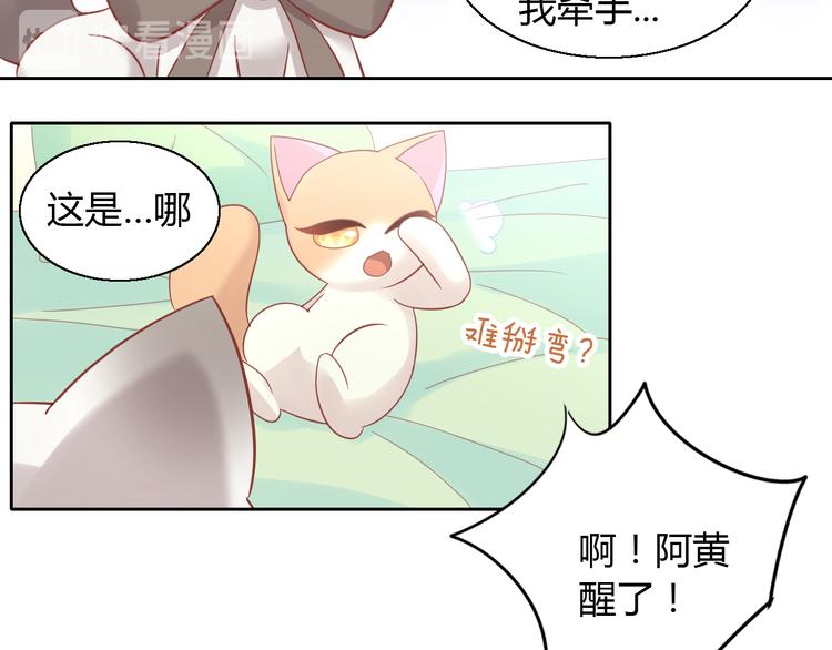 猫爪之下韩漫全集-第136话 撸猫技师（四）无删减无遮挡章节图片 