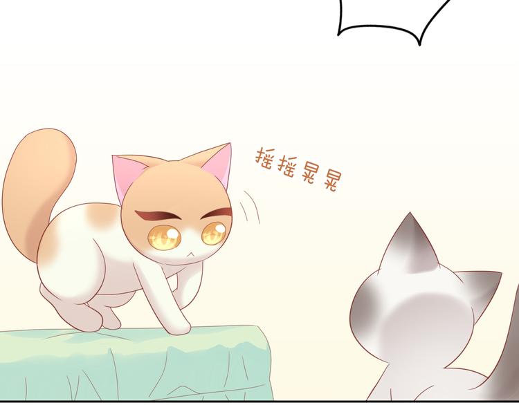 猫爪之下韩漫全集-第136话 撸猫技师（四）无删减无遮挡章节图片 