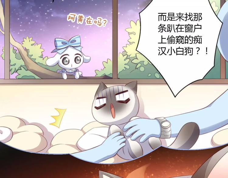 猫爪之下韩漫全集-第15话  虚惊一场无删减无遮挡章节图片 