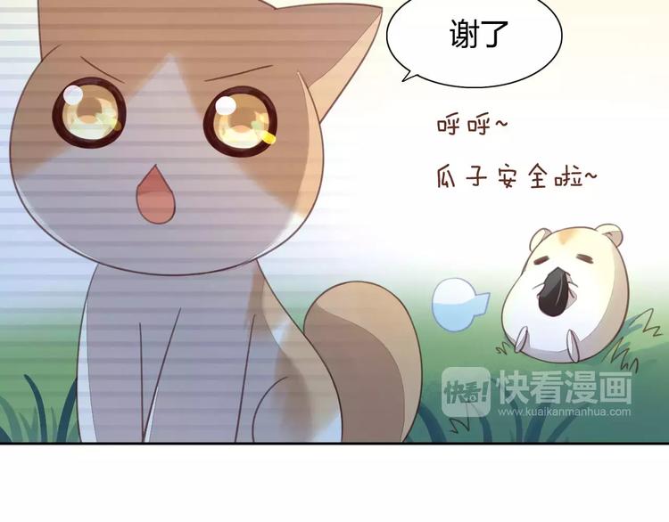 猫爪之下韩漫全集-第15话  虚惊一场无删减无遮挡章节图片 