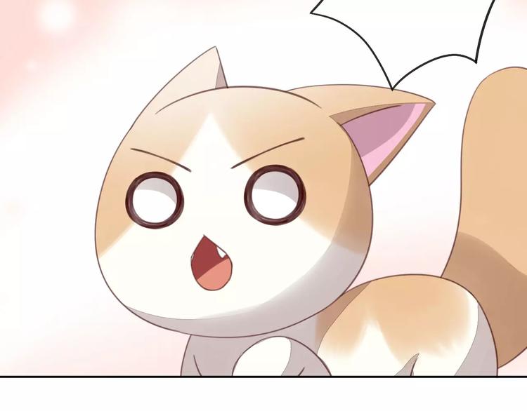猫爪之下韩漫全集-第15话  虚惊一场无删减无遮挡章节图片 