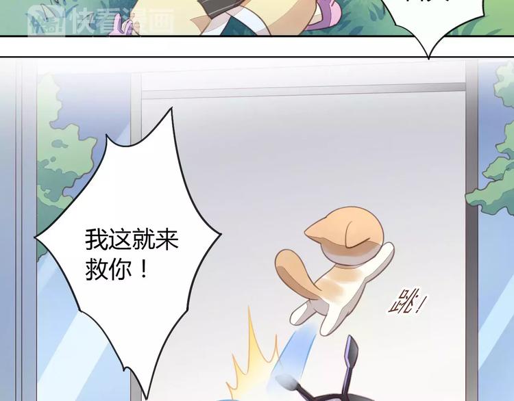 猫爪之下韩漫全集-第15话  虚惊一场无删减无遮挡章节图片 