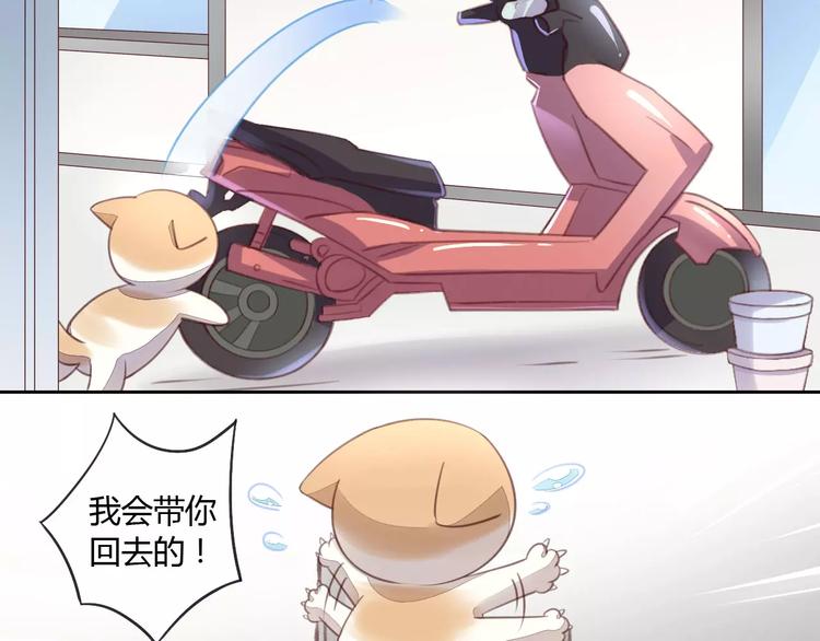 猫爪之下韩漫全集-第15话  虚惊一场无删减无遮挡章节图片 