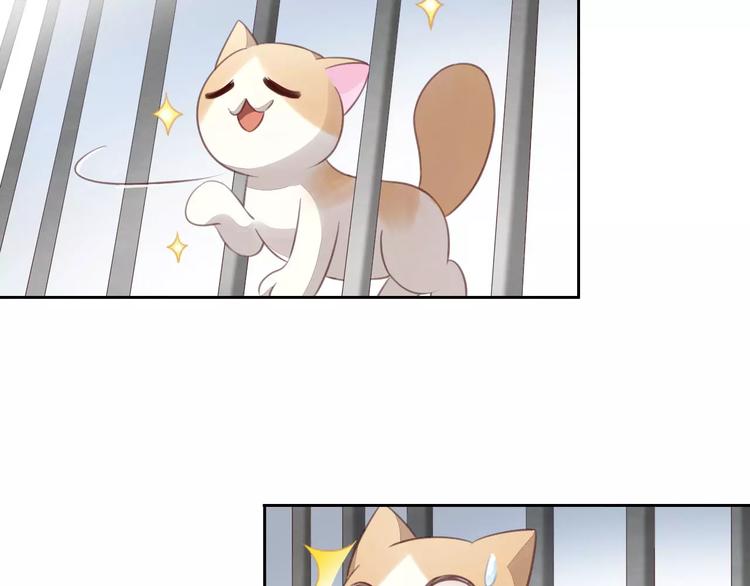猫爪之下韩漫全集-第15话  虚惊一场无删减无遮挡章节图片 