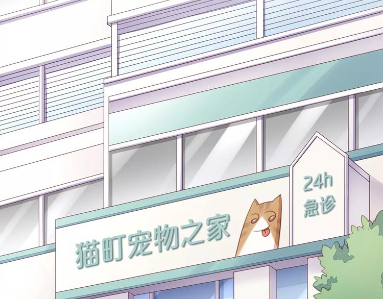 猫爪之下韩漫全集-第15话  虚惊一场无删减无遮挡章节图片 