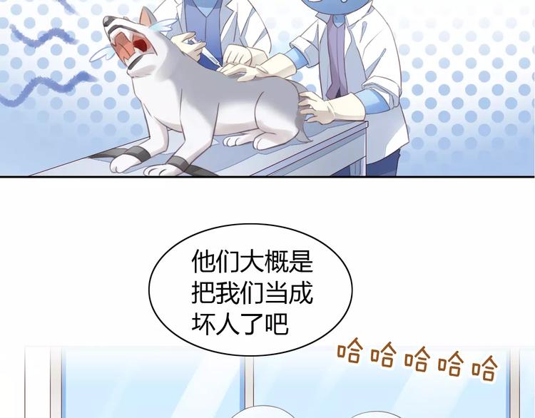 猫爪之下韩漫全集-第15话  虚惊一场无删减无遮挡章节图片 