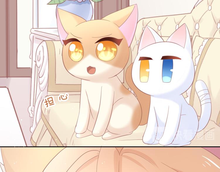 猫爪之下韩漫全集-第142话 高仿热干面无删减无遮挡章节图片 