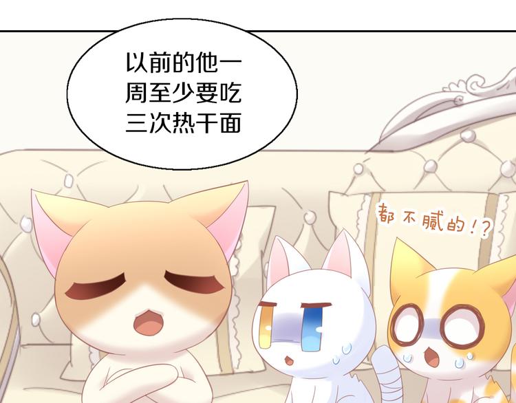 猫爪之下韩漫全集-第142话 高仿热干面无删减无遮挡章节图片 