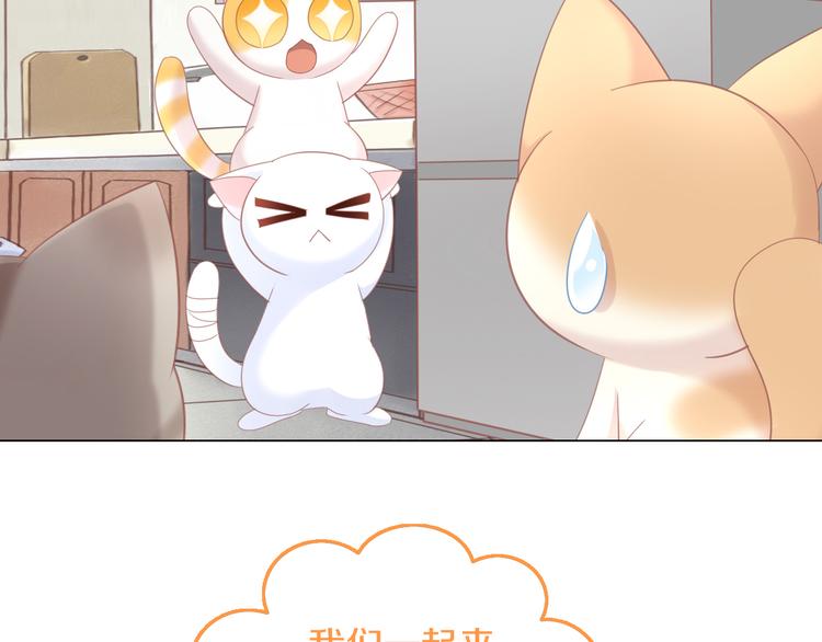 猫爪之下韩漫全集-第142话 高仿热干面无删减无遮挡章节图片 