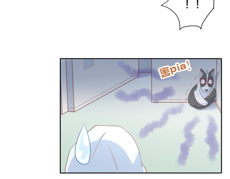 猫爪之下韩漫全集-第143话 腮红鹦鹉无删减无遮挡章节图片 
