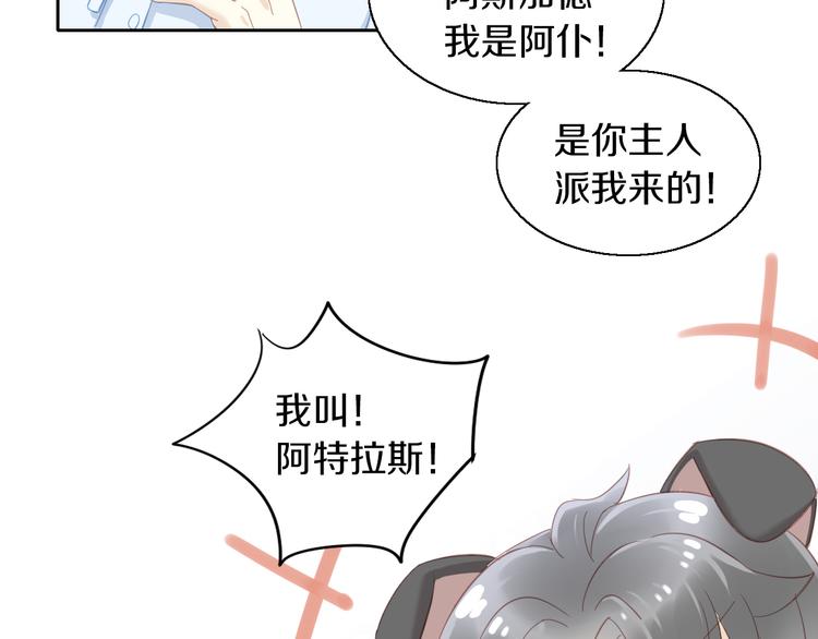 猫爪之下韩漫全集-第143话 腮红鹦鹉无删减无遮挡章节图片 