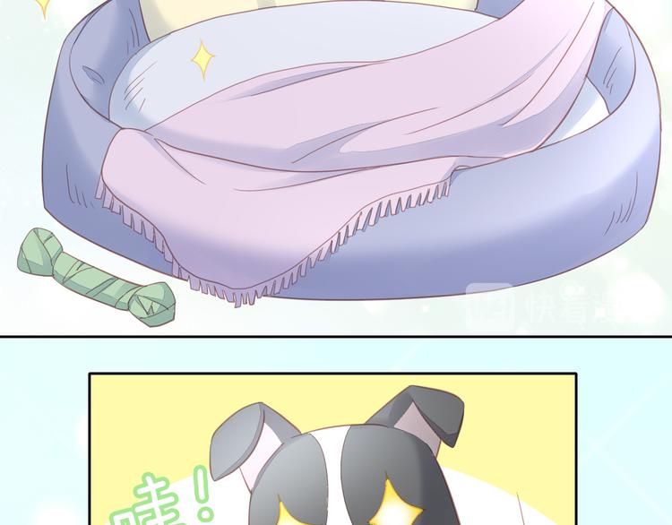 猫爪之下韩漫全集-第143话 腮红鹦鹉无删减无遮挡章节图片 