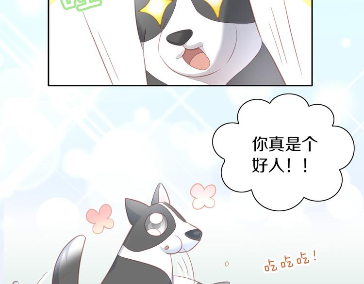 猫爪之下韩漫全集-第143话 腮红鹦鹉无删减无遮挡章节图片 