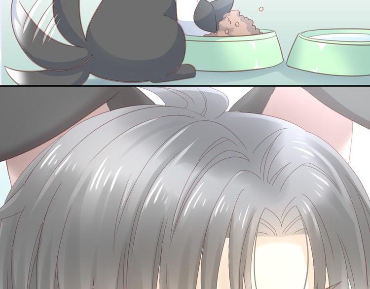 猫爪之下韩漫全集-第143话 腮红鹦鹉无删减无遮挡章节图片 
