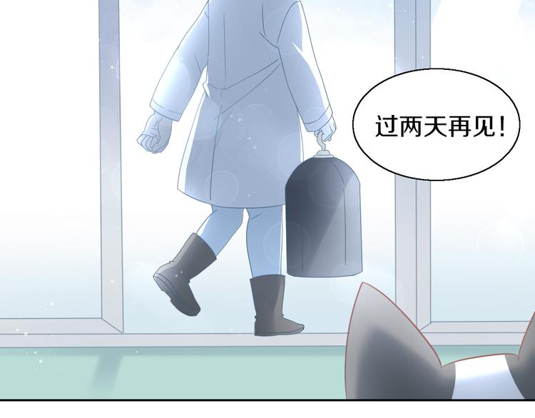 猫爪之下韩漫全集-第143话 腮红鹦鹉无删减无遮挡章节图片 