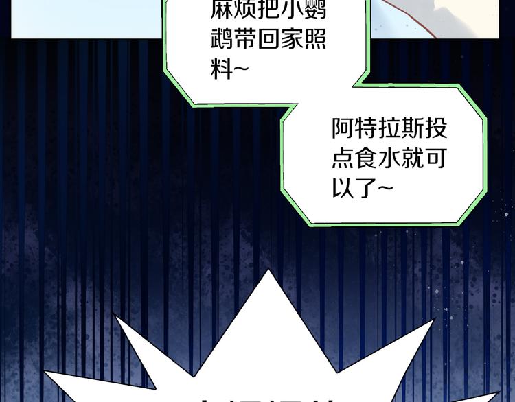 猫爪之下韩漫全集-第143话 腮红鹦鹉无删减无遮挡章节图片 