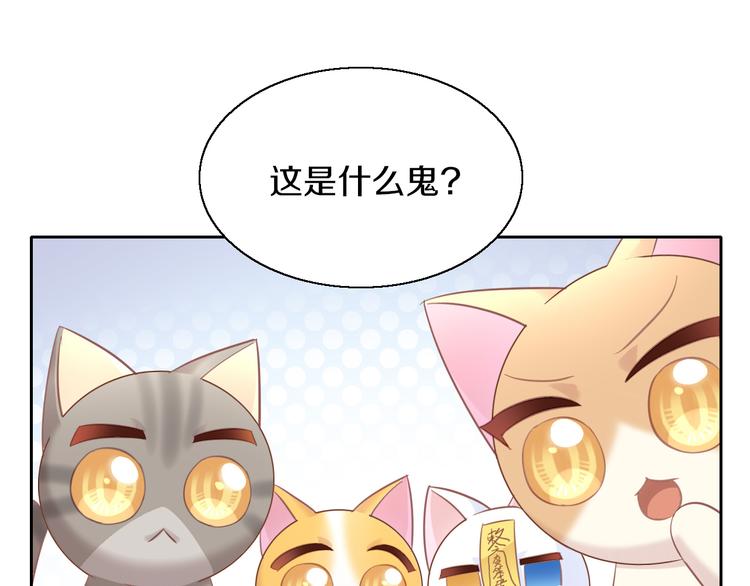 猫爪之下韩漫全集-第143话 腮红鹦鹉无删减无遮挡章节图片 