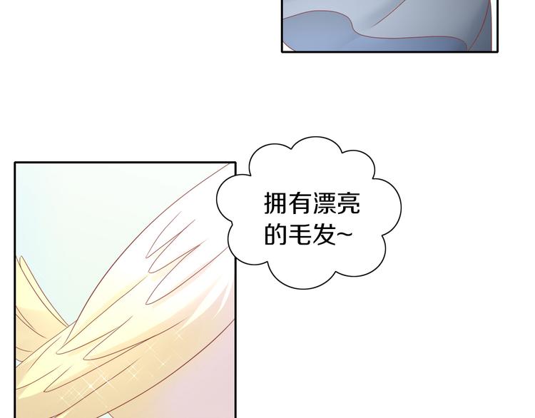 猫爪之下韩漫全集-第143话 腮红鹦鹉无删减无遮挡章节图片 