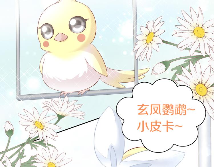 猫爪之下韩漫全集-第143话 腮红鹦鹉无删减无遮挡章节图片 