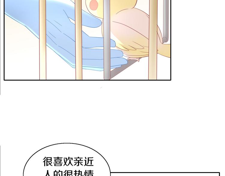 猫爪之下韩漫全集-第143话 腮红鹦鹉无删减无遮挡章节图片 