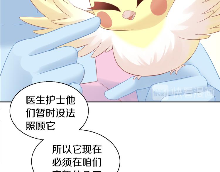 猫爪之下韩漫全集-第143话 腮红鹦鹉无删减无遮挡章节图片 