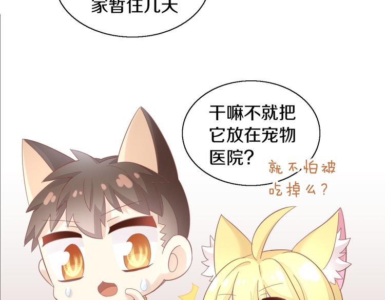 猫爪之下韩漫全集-第143话 腮红鹦鹉无删减无遮挡章节图片 