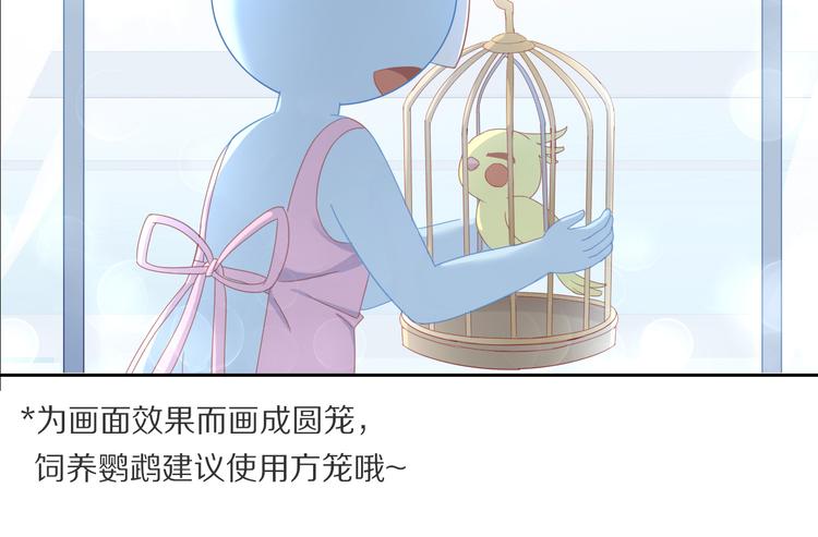 猫爪之下韩漫全集-第143话 腮红鹦鹉无删减无遮挡章节图片 
