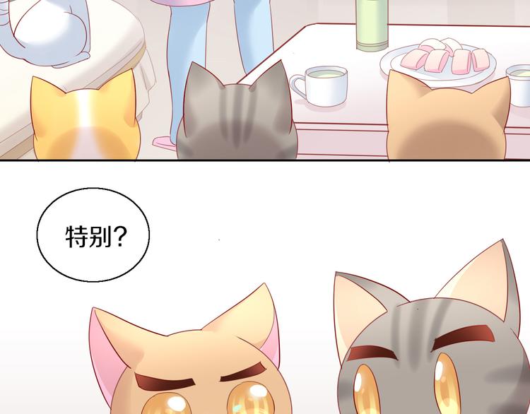 猫爪之下韩漫全集-第143话 腮红鹦鹉无删减无遮挡章节图片 