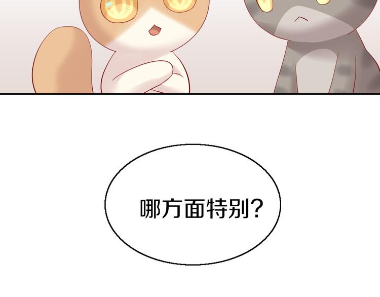 猫爪之下韩漫全集-第143话 腮红鹦鹉无删减无遮挡章节图片 