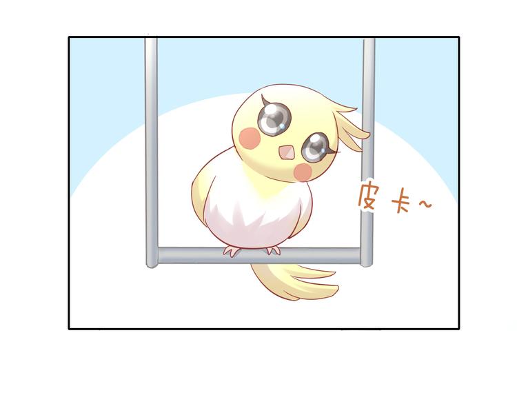 猫爪之下韩漫全集-第143话 腮红鹦鹉无删减无遮挡章节图片 