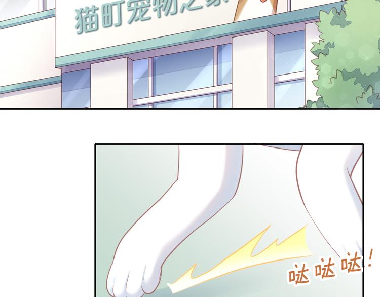 猫爪之下韩漫全集-第143话 腮红鹦鹉无删减无遮挡章节图片 