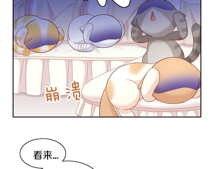 猫爪之下韩漫全集-第143话 腮红鹦鹉无删减无遮挡章节图片 